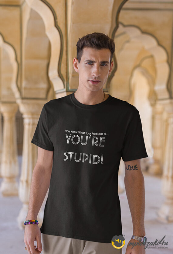 You're-stupidb