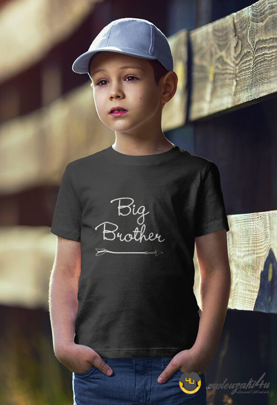 Big-Brotherb