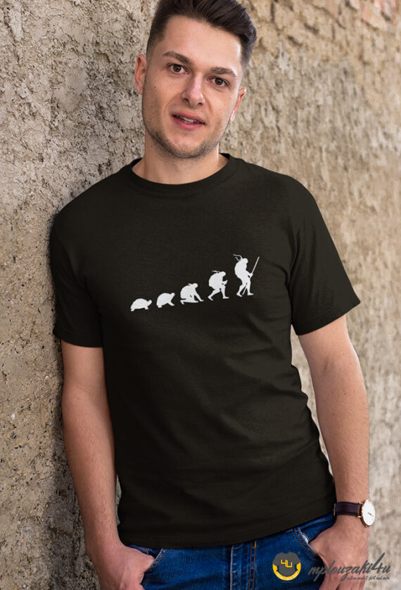 Turtle-Evolution-b