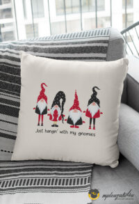Hangin-with-my-gnomies-pbg