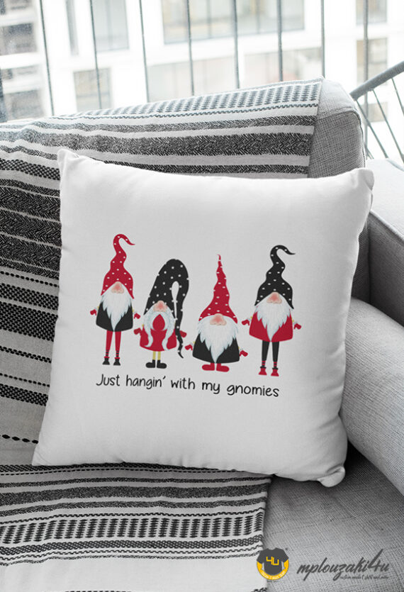 Hangin-with-my-gnomies-pw