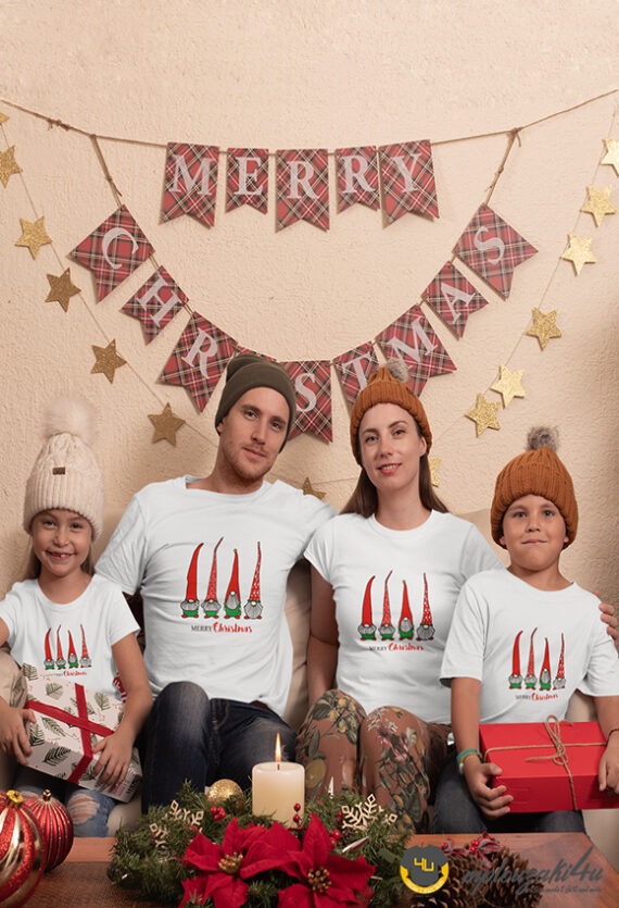 Merry-Christmas-gnomes-setw