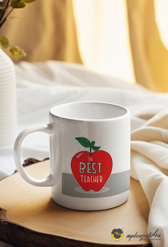 The-Best-teacher-mug-1