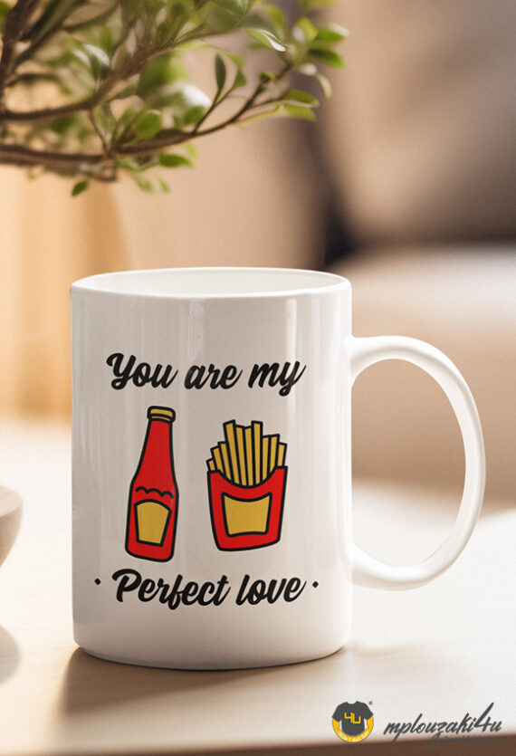 My-perfect-love-mug