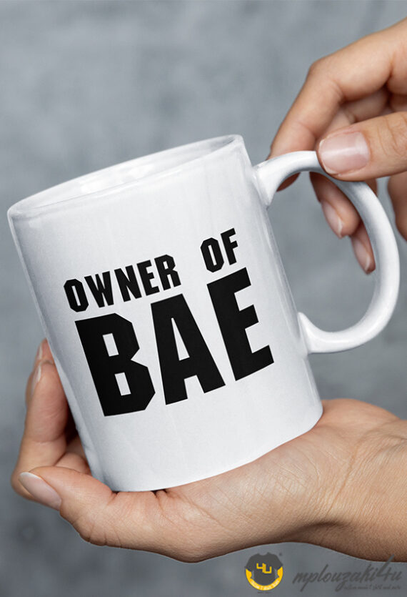 owner-of-Bae-mug