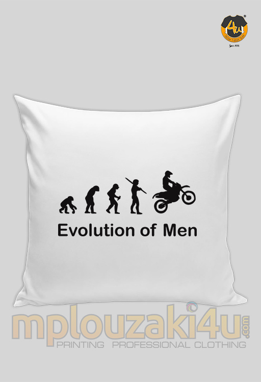 evolution-of-men-pillow