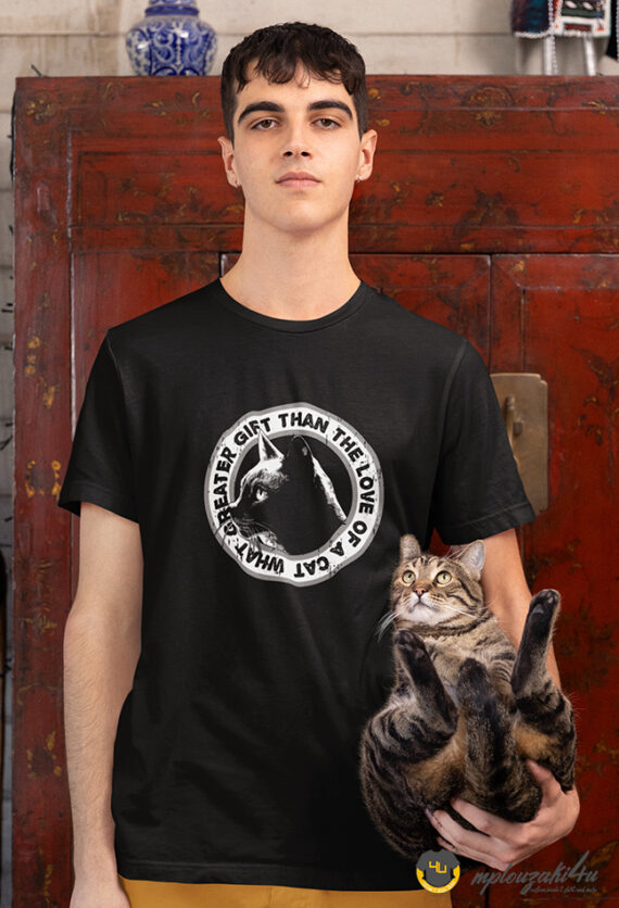 The-love-of-a-cat-β