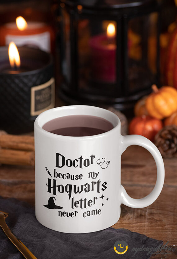 Hogwarts-letter-never-came-mug