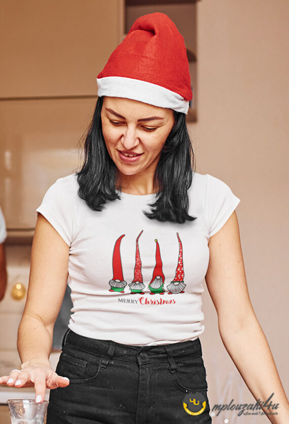 Merry-Christmas-gnomes-ww
